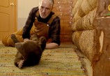Сцена из фильма Бурые медвежата и я / Grizzly Bear Cubs and Me (2018) Бурые медвежата и я сцена 1