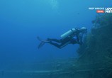 Сцена из фильма Корабельные рифы / Reef Wrecks (2016) Корабельные рифы сцена 7