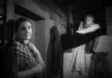 Сцена из фильма Отчий дом (1959) Отчий дом сцена 2