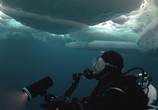 Сцена из фильма Гренландский лёд / Greenland Ice (2019) Гренландский лёд сцена 1