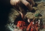 Фильм Дьявольский зародыш / Mo tai (1983) - cцена 5