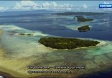 Сцена из фильма Дикая природа Индонезии / Wildest Islands Of Indonesia (2016) Дикая природа Индонезии сцена 5