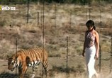 Сцена из фильма Американский тигр / American Tiger (2012) 