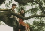 Сцена из фильма Разбойник и принцесса / Lotrando a Zubejda (1997) Разбойник и принцесса сцена 1