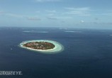 Сцена из фильма Глазами пилота - Мальдивы / Pilotseye - Malediven (2008) Глазами пилота - Мальдивы сцена 3