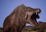 Сцена из фильма National Geographic: Доисторические хищники. Адский кабан / Prehistoric Predators. Killer Pig (2008) National Geographic: Доисторические хищники. Адский кабан сцена 5