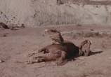 Сцена из фильма Земля Чато / Chato's Land (1972) Земля Чато сцена 3