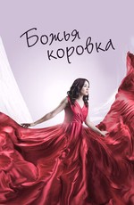 Божья коровка