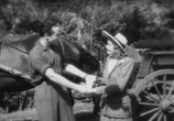 Фильм Волк Мальвенера / Le loup des Malveneur (1943) - cцена 2
