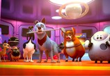 Мультфильм Союз зверей: Спасение двуногих / Pets United (2020) - cцена 3