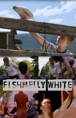 Белый живот рыбы
