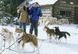 Сцена из фильма Снежные псы / Snow Dogs (2002) Снежные псы