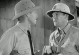 Сцена из фильма На линии огня / The Fighting Seabees (1944) На линии огня сцена 2