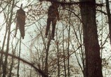 Фильм Домик на дереве / Treehouse (2014) - cцена 6