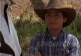 Сцена из фильма Каникулы на ранчо / Horse Sense (1999) Каникулы на ранчо сцена 12