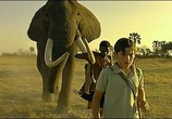 Сцена из фильма Повелитель слонов / Le maitre des elephants (1995) Повелитель слонов сцена 5