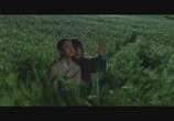 Сцена из фильма Чосонский маг / Joseonmasoolsa (2015) Чосонский маг сцена 6