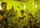 Сцена из фильма Малыш-каннабис / Kid Cannabis (2014) Малыш-каннабис сцена 5