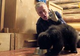 Сцена из фильма Бурые медвежата и я / Grizzly Bear Cubs and Me (2018) Бурые медвежата и я сцена 8