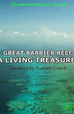 Большой Барьерный риф: Живое сокровище