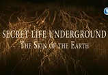 Сцена из фильма Тайны подземного мира / Secret Life Underground (2014) Тайны подземного мира сцена 1