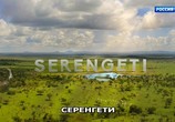 Сцена из фильма Серенгети / Serengeti (2019) Серенгети сцена 1