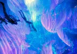 Фильм Аватар: Путь воды / Avatar: The Way of Water (2022) - cцена 6