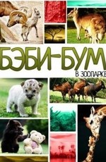 Бэби-бум в зоопарке