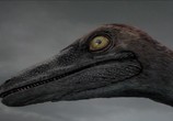 Сцена из фильма Планета динозавров. Совершенные убийцы. / Planet dinosaur. Ultimate killers (2011) Планета динозавров. Совершенные убийцы. сцена 1