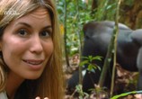 ТВ Тайна горилл / Mystery Gorilla (2009) - cцена 5