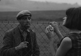Фильм Интимное освещение / Intimni osvetleni (1965) - cцена 5