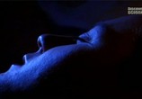 Сцена из фильма Discovery: Тайны сна / Discovery: The secrets of sleep (2006) Discovery: Тайны сна сцена 1