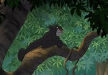 Мультфильм Книга Джунглей: Дилогия / The Jungle Book: Dilogy (1967) - cцена 5