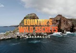 Сцена из фильма Необычная природа экватора / Equator's Wild Secrets (2019) Необычная природа экватора сцена 1