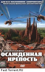 Осажденная крепость