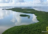 ТВ Национальные парки Америки. Эверглейдс / America's National Parks. Everglades (2015) - cцена 2