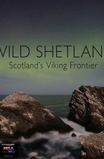 Дикая природа Шетлендских островов