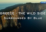 Сцена из фильма Дикая природа Греции / Greece - The Wild Side (2019) Дикая природа Греции сцена 13