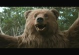 Сцена из фильма Медведь / Bear (2011) 