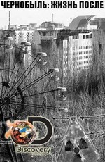 Чернобыль: жизнь после