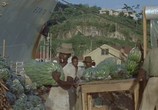Сцена из фильма Остров Солнца / Island in the Sun (1957) Остров Солнца сцена 1