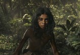 Сцена из фильма Маугли / Mowgli (2018) 