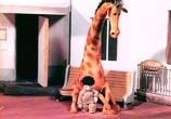 Мультфильм В зоопарке – ремонт (1987) - cцена 1