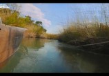 Сцена из фильма Вдоль по Окаванго / Into the Okavango (2018) Вдоль по Окаванго сцена 4