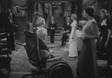 Сцена из фильма Черная кошка / The Black Cat (1941) Черная кошка сцена 3
