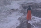 Сцена из фильма Остров Ио / Ieodo (1977) Остров Ио сцена 20