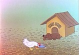 Сцена из фильма Пёс и ветер / Suns Funs un vejs (1978) Пёс и ветер сцена 2