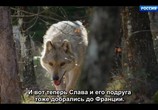 Сцена из фильма Путешествие волка / L'Odyssée du Loup (2019) Путешествие волка сцена 10