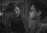 Фильм Здравствуйте, дети! (1962) - cцена 2