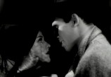 Сцена из фильма Оживленная леди / Vivacious Lady (1938) Оживленная леди сцена 3